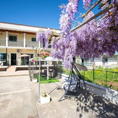 Ionian Luxury Apartments Perama  Eksteriør billede
